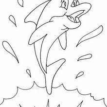 Happy Dolphin coloring page