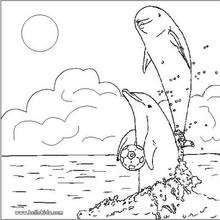 Dolphins in love coloring page