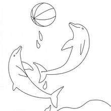 Dolphins playing with balloon coloring page
