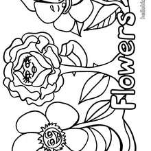 Flower coloring page - Coloring page - NATURE coloring pages - FLOWER coloring pages - FLOWERS coloring pages