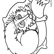 Fox coloring page