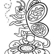 Smiling Butterfly coloring page