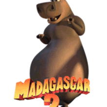 Gloria from Madagascar 2 animated gif