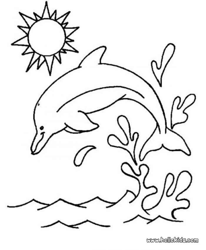 Dolphin Coloring Sheet 6