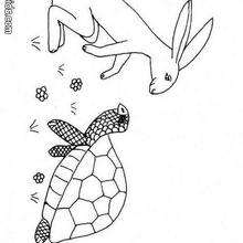 Hare and tortoise coloring page - Coloring page - ANIMAL coloring pages - REPTILE coloring pages - TORTOISE coloring pages - TORTOISE to color in