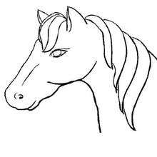 Horse head coloring page