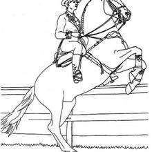 Horse rider coloring page - Coloring page - ANIMAL coloring pages - FARM ANIMAL coloring pages - HORSE coloring pages - HORSE RACING coloring pages
