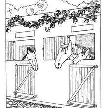 Horses in the stable coloring page - Coloring page - ANIMAL coloring pages - FARM ANIMAL coloring pages - HORSE coloring pages - HORSES coloring pages