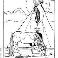 Indian Horse coloring page - Coloring page - HOLIDAY coloring pages - THANKSGIVING coloring pages - INDIAN coloring pages