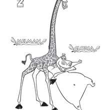 Madagascar 2 : Melman and Gloria coloring page - Coloring page - MOVIE coloring pages - MADAGASCAR coloring pages - MADAGASCAR 2 coloring pages