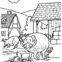 Pig coloring page - Coloring page - ANIMAL coloring pages - FARM ANIMAL coloring pages - PIG coloring pages