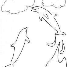 Dolphin land coloring page