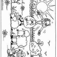Sheeps and kids coloring page