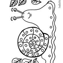 Snail coloring page - Coloring page - ANIMAL coloring pages - Free ANIMAL coloring pages
