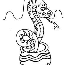 Cute Snake coloring page