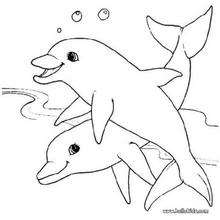 Two dolphins coloring page
