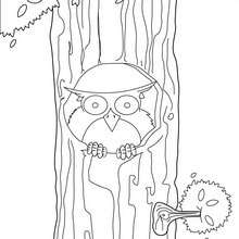 Owl sitting on the tree coloring page