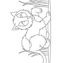 Walking cat coloring page - Coloring page - ANIMAL coloring pages - PET coloring pages - CAT coloring pages - CATS coloring pages