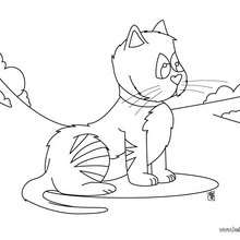 Cat coloring page - Coloring page - ANIMAL coloring pages - PET coloring pages - CAT coloring pages - CATS coloring pages