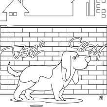 Basset Hound coloring page - Coloring page - ANIMAL coloring pages - PET coloring pages - DOG coloring pages - BASSET HOUND coloring pages