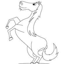 Awesome horse coloring page - Coloring page - ANIMAL coloring pages - FARM ANIMAL coloring pages - HORSE coloring pages - HORSE MARE coloring pages
