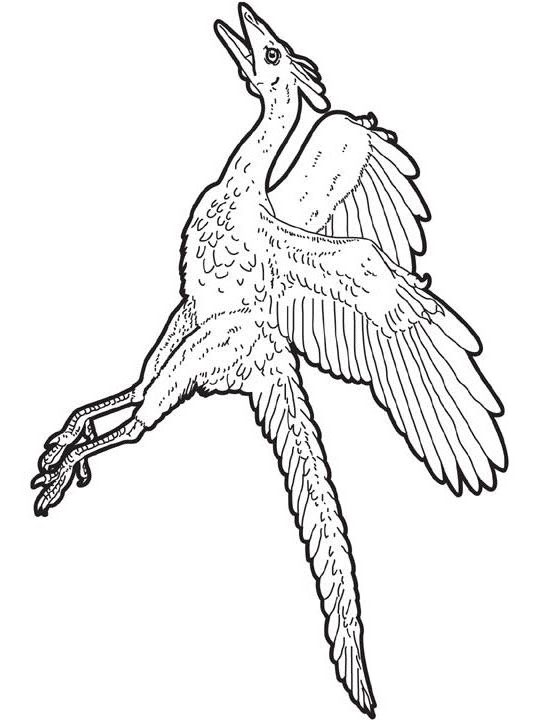 Baby Dinasaur Flying Coloring Coloring Pages