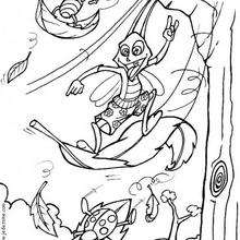 Autumn leaves coloring page - Coloring page - ANIMAL coloring pages - INSECT coloring pages - INSECT to color in