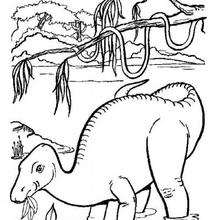 Brontosaurus in water coloring page - Coloring page - ANIMAL coloring pages - DINOSAUR coloring pages - Brachiosaurus, Brontosaurus and Diplodocus coloring pages
