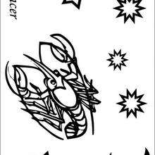 Cancer coloring page - Coloring page - ZODIAC coloring pages - SIGNS of the ZODIAC coloring pages - CANCER coloring pages