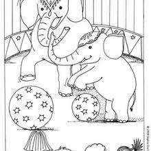 Circus elephants coloring page