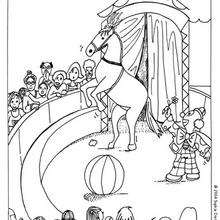 Clown and horse coloring page