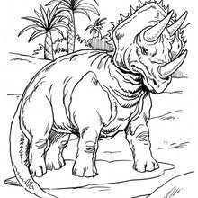 Triceratops and palm trees coloring page - Coloring page - ANIMAL coloring pages - DINOSAUR coloring pages - TRICERATOP coloring pages