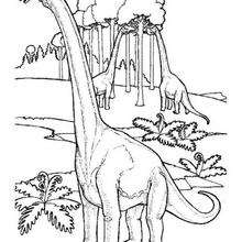 Eating brachiosaurus coloring page - Coloring page - ANIMAL coloring pages - DINOSAUR coloring pages - Brachiosaurus, Brontosaurus and Diplodocus coloring pages