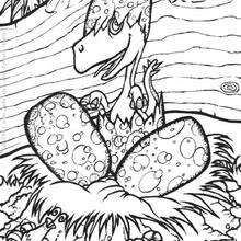 Prehistoric bird coloring page - Coloring page - ANIMAL coloring pages - DINOSAUR coloring pages - Flying reptiles and Pterodactylus coloring pages