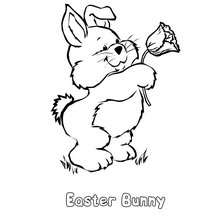 Rabbit and Spring flower coloring page