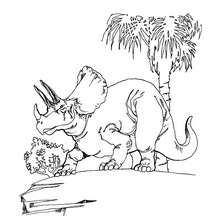 Triceratops coloring page - Coloring page - ANIMAL coloring pages - DINOSAUR coloring pages - TRICERATOP coloring pages