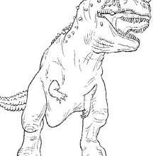 Tyrex coloring page - Coloring page - ANIMAL coloring pages - DINOSAUR coloring pages - Tyrannosaurus coloring pages