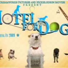 Hotel for Dogs coming soon - Daily Kids News