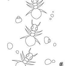 Ants coloring page - Coloring page - ANIMAL coloring pages - INSECT coloring pages - ANT coloring pages
