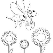 Funy Bee coloring page - Coloring page - ANIMAL coloring pages - INSECT coloring pages - BEE coloring pages
