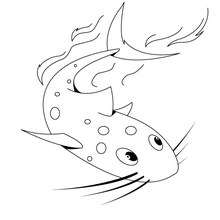 Catfish coloring page - Coloring page - ANIMAL coloring pages - SEA ANIMALS coloring pages - CATFISH coloring pages
