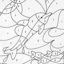 Dolphin color by number - Coloring page - COLOR by NUMBER coloring pages - ANIMAL Color by Number coloring pages - FISH color by number