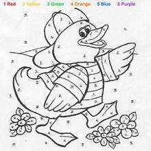 Duck color by number - Coloring page - COLOR by NUMBER coloring pages - ANIMAL Color by Number coloring pages - FARM ANIMAL color by number - DUCK