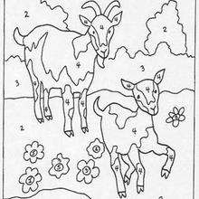Goats color by number - Coloring page - COLOR by NUMBER coloring pages - ANIMAL Color by Number coloring pages - FARM ANIMAL color by number - GOAT