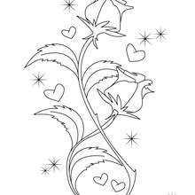 Valentine's Day rose coloring page - Coloring page - HOLIDAY coloring pages - VALENTINE coloring pages - Free VALENTINE coloring pages