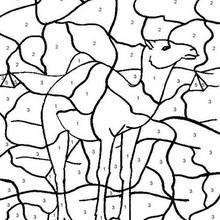 Camel Color by number coloring page