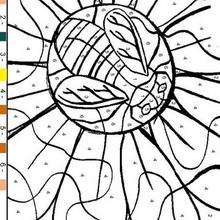 Bee and flower coloring by number - Coloring page - COLOR by NUMBER coloring pages - ANIMAL Color by Number coloring pages - INSECT color by number - BEE