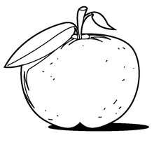 Apple coloring page - Coloring page - NATURE coloring pages - FRUIT coloring pages - APPLE coloring pages