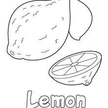 Lemon - Coloring page - NATURE coloring pages - FRUIT coloring pages - LEMON coloring pages