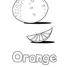 Orange - Coloring page - NATURE coloring pages - FRUIT coloring pages - ORANGE coloring pages